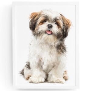 Watercolor Shih Tzu Dog Portrait Wall Art Print Poster Unframed - Pet Artwork